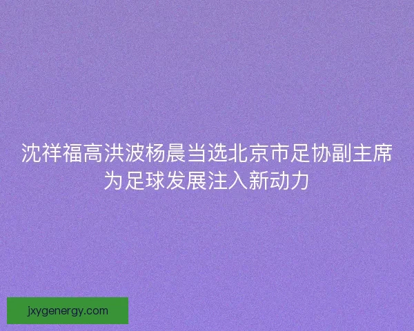 沈祥福高洪波杨晨当选北京市足协副主席为足球发展注入新动力 沈祥福高洪波杨晨当选北京市足协副主席为足球发展注入新动力
