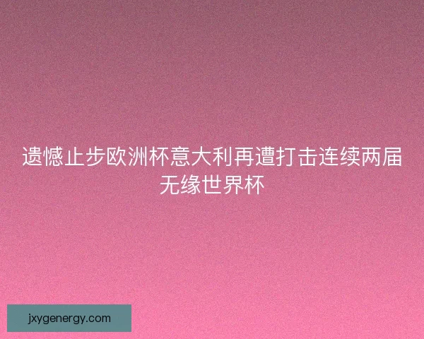 遗憾止步欧洲杯意大利再遭打击连续两届无缘世界杯